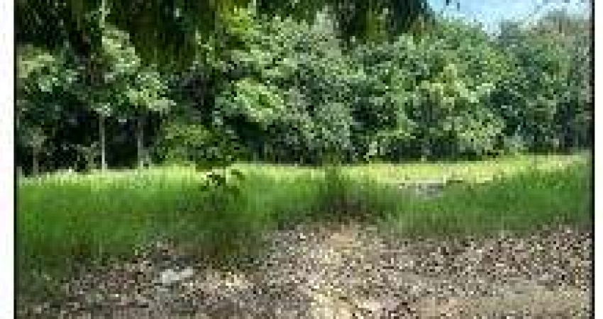 Oportunidade Única em BOITUVA - SP | Tipo: Terreno | Negociação: Leilão  | Situação: Imóvel