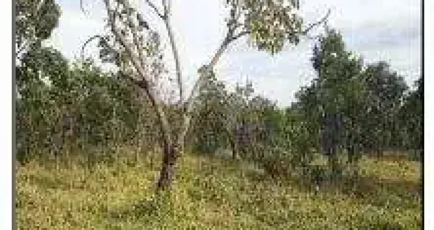 Oportunidade única em luziania - go | tipo: terreno | negociação: venda direta online | situação: imóvel