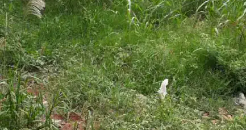 Terreno à venda no Centro, Barrinha 