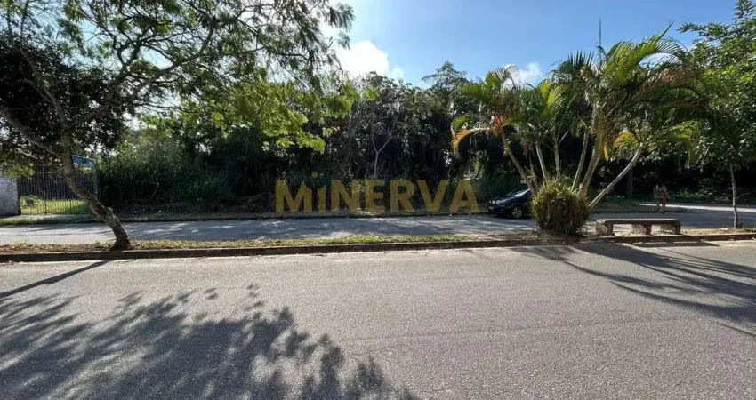 Chácara / sítio à venda na Avenida Albert Sabin, Bopiranga, Itanhaém