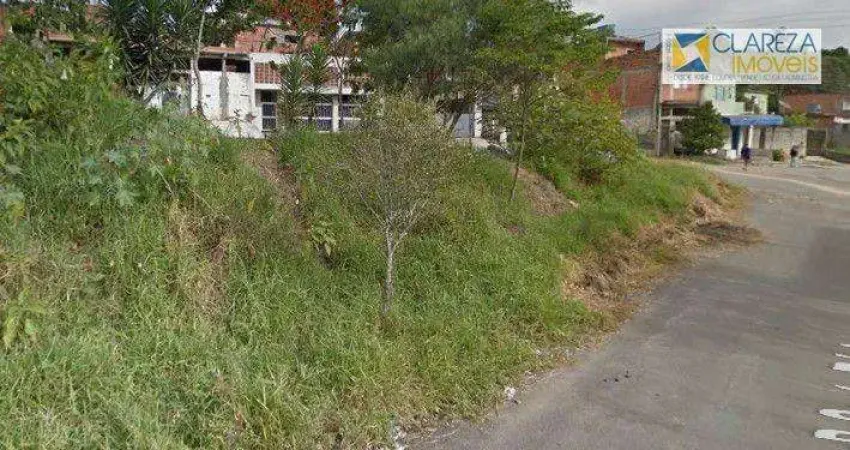 Terreno à venda, 396 m² por R$ 265.000,00 - Jardim São Miguel - Cotia/SP