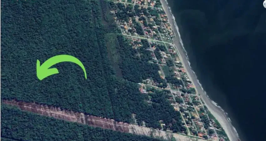 Terreno localizado na rua cangatu n°1069, no balneário rosa dos ventos, com vegetação.