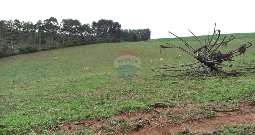 Fazenda em aiuruoca-mg com eucalipto, pasto e compensação 302 ha – r$ 6,2 mi