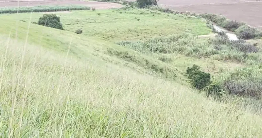Terreno escriturado com 27 hectares na área rural do braço em camboriú