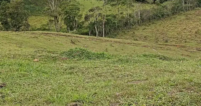 Chácara / sítio com 5 quartos à venda na Área Rural, Área Rural de Camboriú, Camboriú