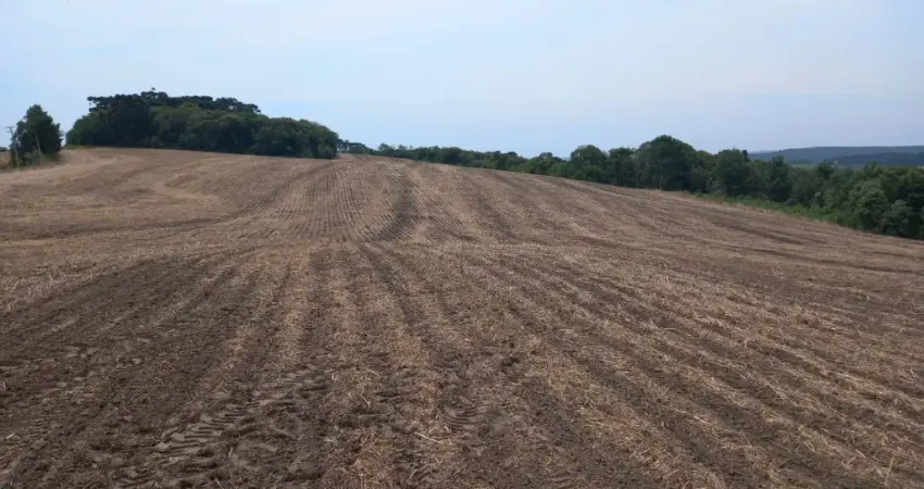 Terreno à venda na Zona Rural, Lapa 