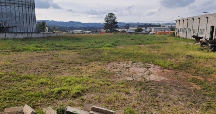 Terreno comercial industrial com frente para BR-476