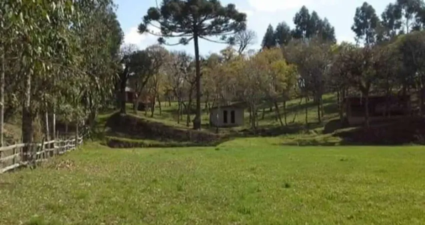 Chácara / sítio à venda na Estrada Rio da Várzea, Rio Da Várzea, Quitandinha