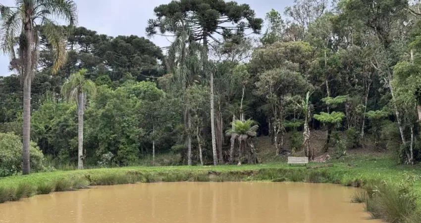 Chácara para Venda em Tijucas do Sul, Campina do Rincão, 4 dormitórios, 1 suíte, 3 banheiros