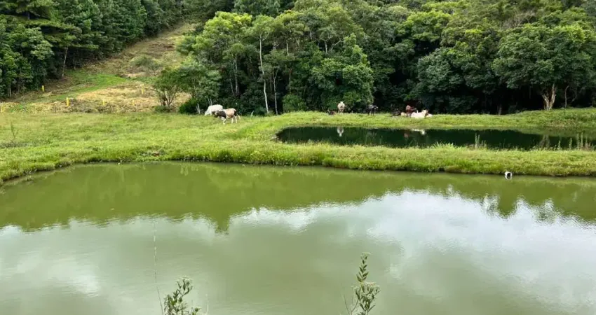 Chácara / sítio à venda na BR 376, Matulão, Tijucas do Sul