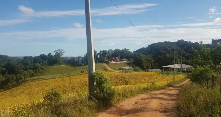Terreno à Venda em Contenda, Serrinha