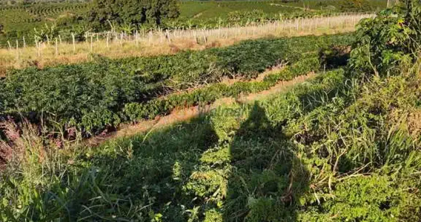 Propriedade Rural em Piraju - SP