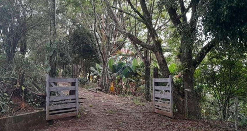 Chácara / sítio com 4 quartos à venda no Centro, Socorro 