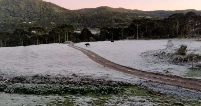Terreno à venda no Vacas Gordas, Urubici 