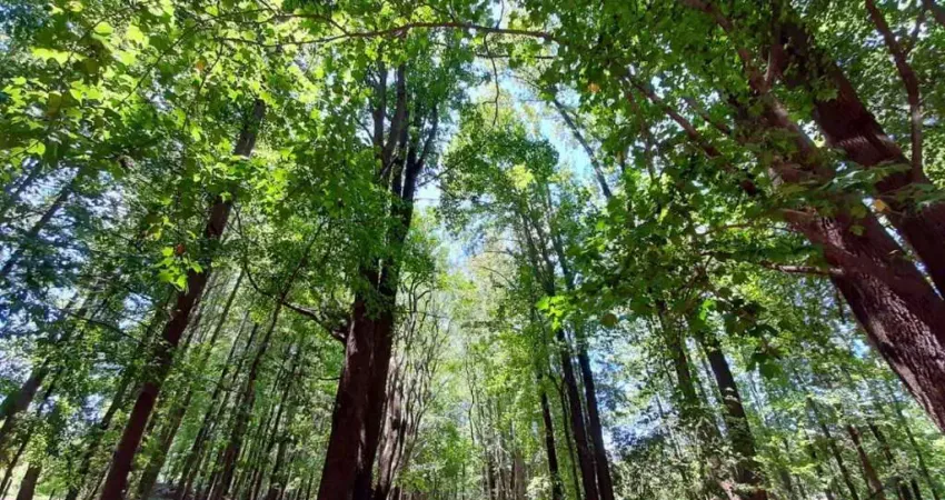 Terreno à venda na Avenida Cassatella, Ivoturucaia, Jundiaí