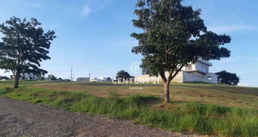 Terreno em condomínio fechado à venda na Rodovia Castelo Branco – Km 196, 13, Ninho Verde, Pardinho