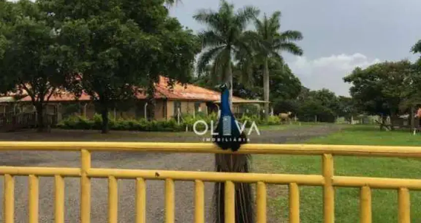 Sítio à venda, 84700 m² por R$ 3.990.000,00 - Zona Rural - Nhandeara/SP