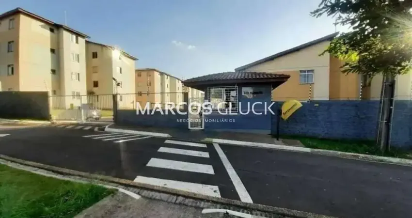 Apartamento à venda no bairro nova olinda - londrina/pr, norte