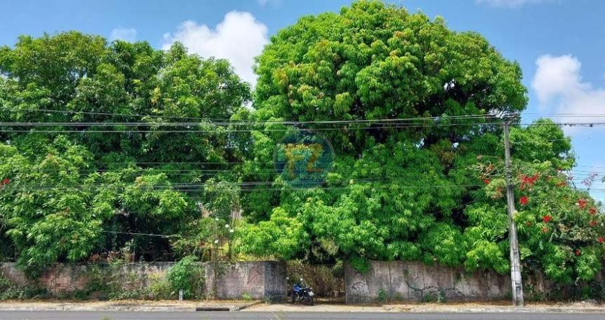 Terreno comercial para alugar em Zona Rural, Aquiraz 