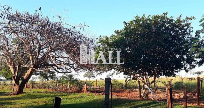 Sítio com 2 dorms, Centro, Indiaporã - R$ 2.34 mi, Cod: 15271