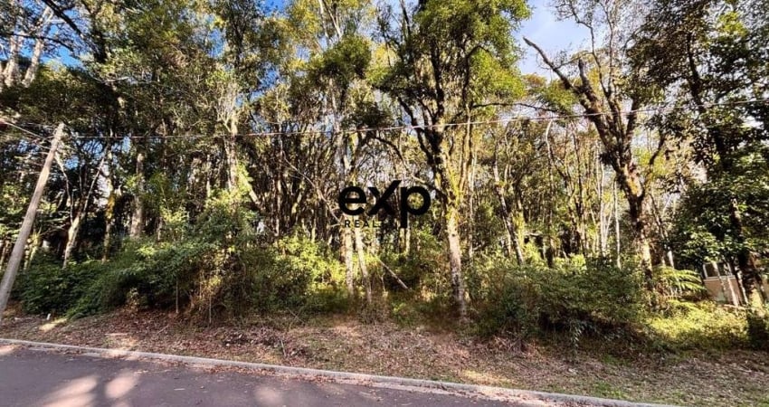 Terreno à venda na Nestor Ruschel, 111, Lagos do Bosque, Gramado