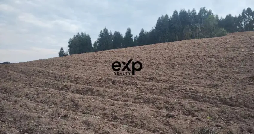 Chácara / sítio com 1 quarto à venda na Estrada Das Serrarias, 1, Leão, Agudos do Sul