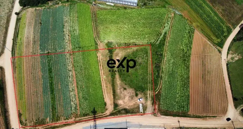 Terreno à venda na Rua Ladislau Toczeck, 1, Colônia Murici, São José dos Pinhais