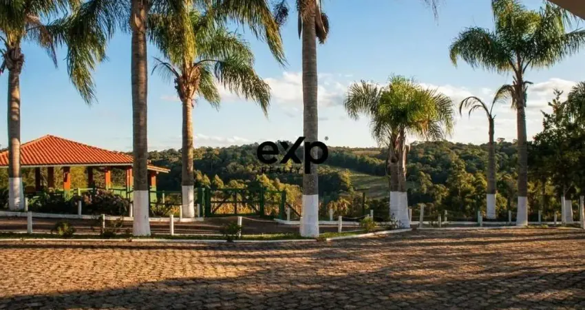 Chácara / sítio com 4 quartos à venda na Estrada Municipal Roça Velha, 1, Roça Velha, São José dos Pinhais