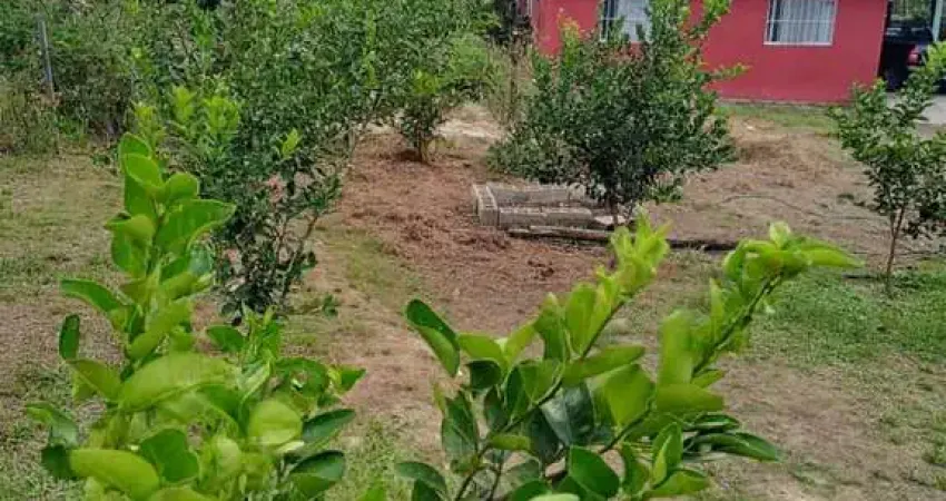 Chácara para Venda em Miracatu, CENTRO, 3 dormitórios, 1 suíte, 2 banheiros, 5 vagas