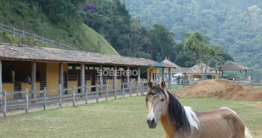 Sítio 3 Suítes, Bela Vista, Cachoeira, Rio, Lago, 1.394.000m2, Serrinha, Teresópolis, RJ
