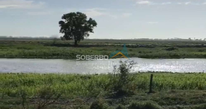 Fazenda Inteiramente Plana, 91,8 Alq (444,4 ha), Campos dos Goytacazes, RJ