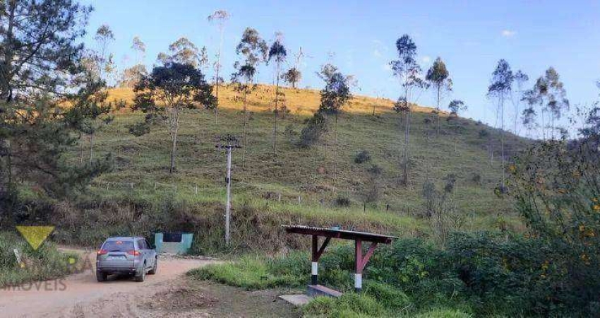 Terreno à venda, 71369 m² por R$ 600.000,00 - Centro - Santa Isabel/SP