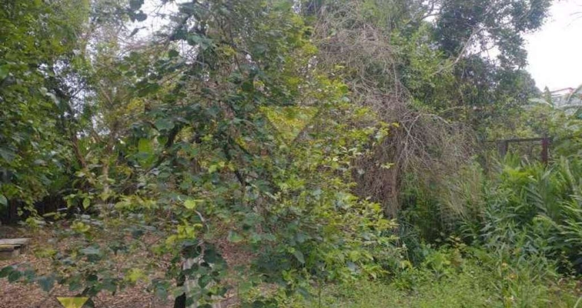 Terreno Residencial à venda, Jardim Cecília, Mogi das Cruzes - TE0193.
