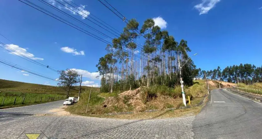 Terreno à venda, 5000 m² por R$ 2.500.000,00 - Parque Agrinco - Guararema/SP