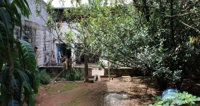 Casas, na Zona Norte, Bairro Jardim Alvina, com 5 Dormitórios, 5 Vagas de Garagem com 425m²..