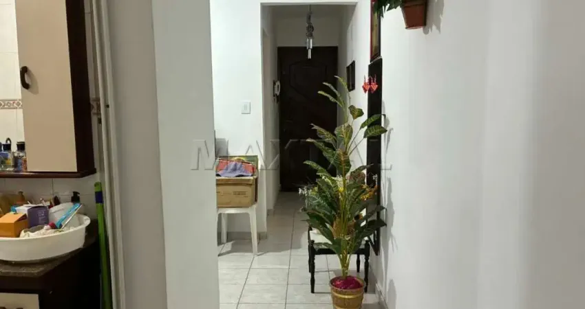 Apartamento de 50m² em santana, 600 metros do metrô santana, 1 quarto, sem vaga e 1 quintal.
