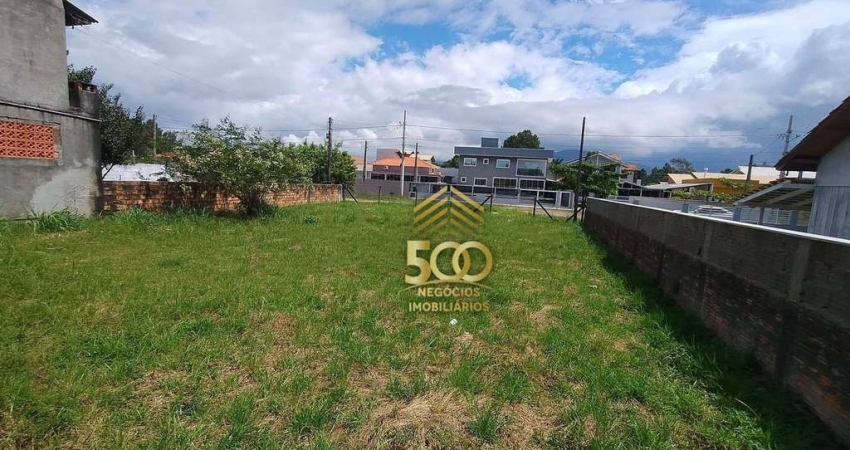 Terreno à venda, 436 m² por R$ 370.000,00 - Praia Do Meio (Ens Brito) - Palhoça/SC