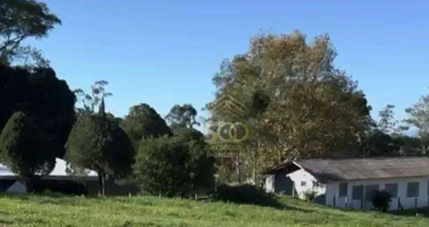 Terreno à venda, 229 m² por R$ 150.000,00 - Alto Aririu - Palhoça/SC