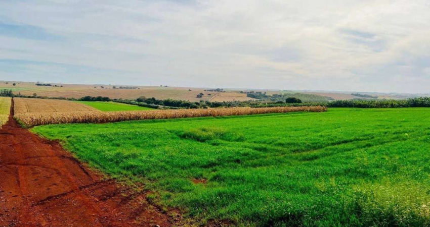 Sítio à venda, 121000 m² por R$ 4.000.000,00 - Prq Ind 200 - Maringá/PR