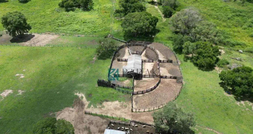 Fazenda com 4 dormitórios à venda, 18139836 m² por R$ 35.000.000,00 - Guaycurus - Miranda/MS