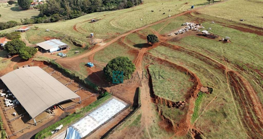 Sítio com 3 dormitórios à venda, 242000 m² por R$ 5.000.000,00 - Centro - Mandaguari/PR