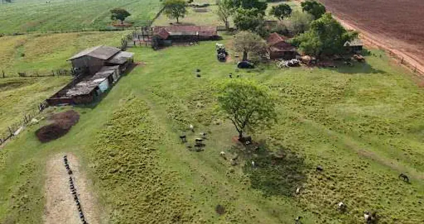 Fazenda à venda no Centro, Nova Esperança 