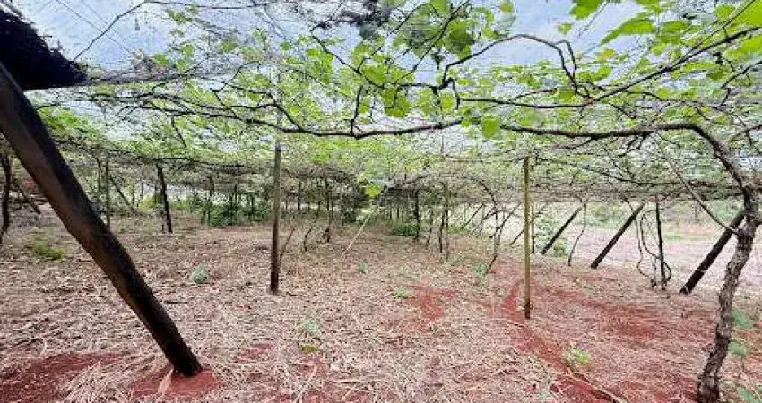 Chácara com 2 dormitórios à venda, 33800 m² por r$ 1.300.000,00 - jardim upon the hills - marialva/pr