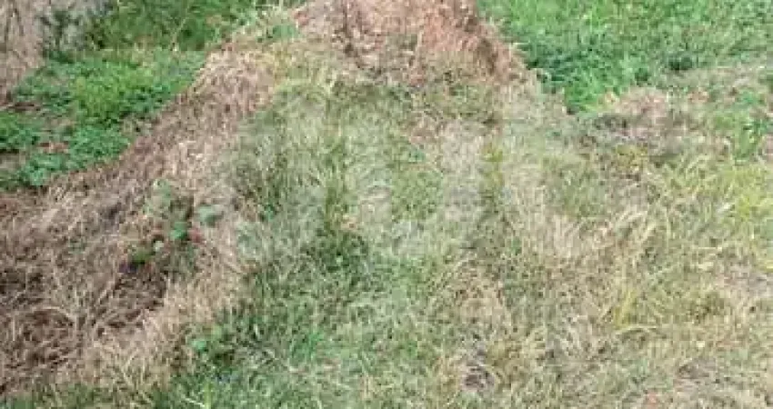 Terreno à venda na Estrada Alfredo Strabello, 999, Capivari, Louveira