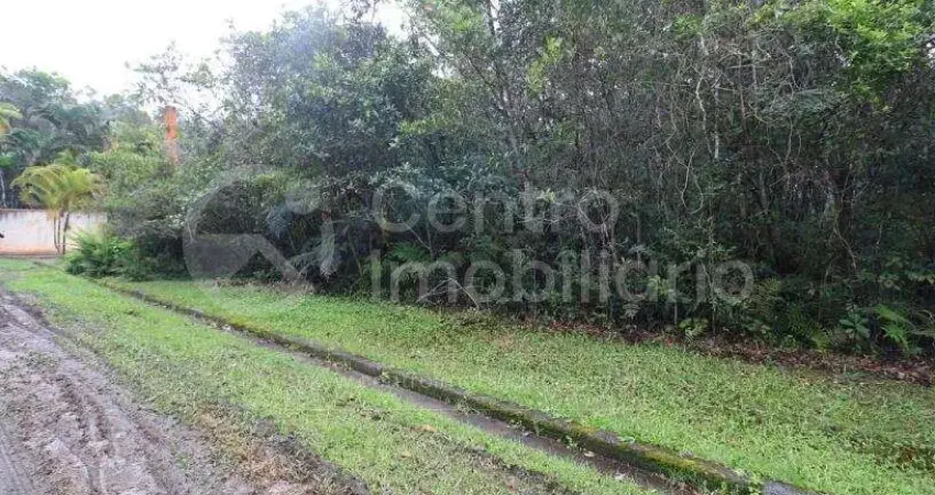 Terreno em condomínio fechado à venda no Jardim São Luis, Peruíbe 
