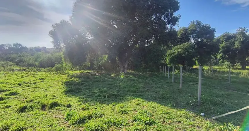 Terreno para Venda em Saquarema, Água Branca (Bacaxá)