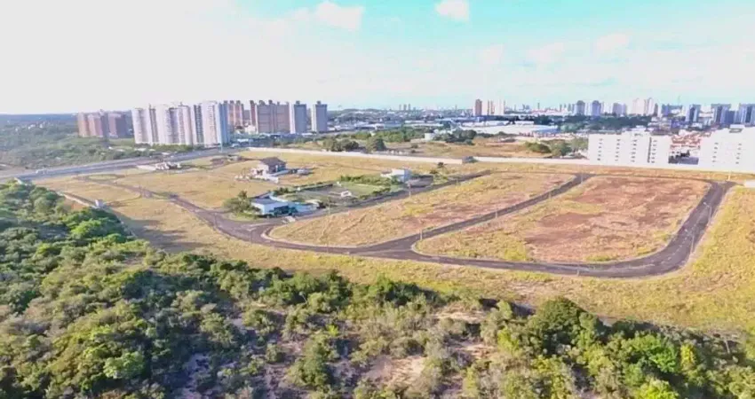 Lote no Buena Vista com 861m² - Ultimo lote.