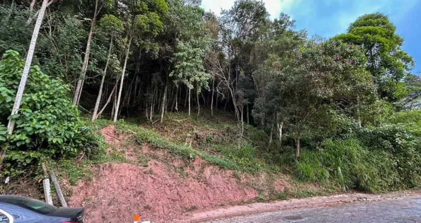 Terreno à venda, 420 m² por R$ 260.000,00 - Centro (Blumenau) - Blumenau/SC