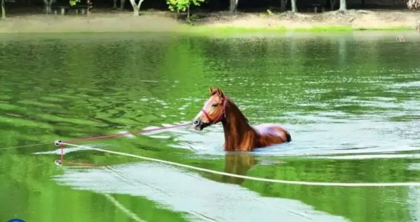 Terreno em condomínio fechado à venda na ROD. FUED MALUF , /EST. MONTE MOR - SUMARE, 6587/8037, Zona Rural, Monte Mor