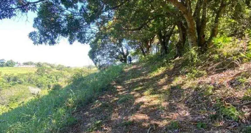 Chácara / sítio à venda na Buenos Aires Country, Buenos Aires, Guarapari